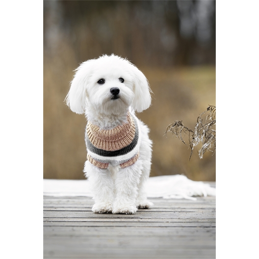 Modèle tricot Happy uni pull chien n°1