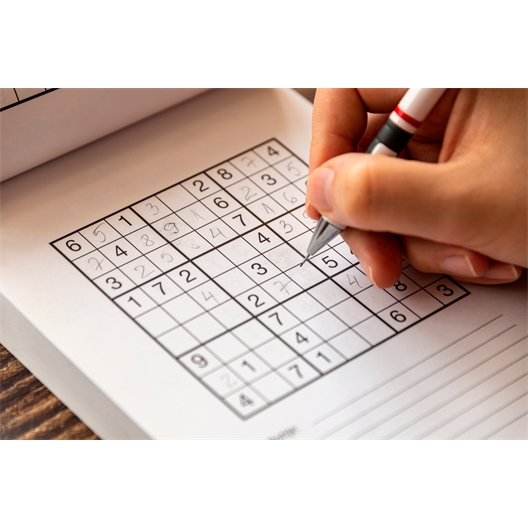 100 sudokus machiavéliques