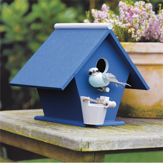 Trio de petits oiseaux avec pince