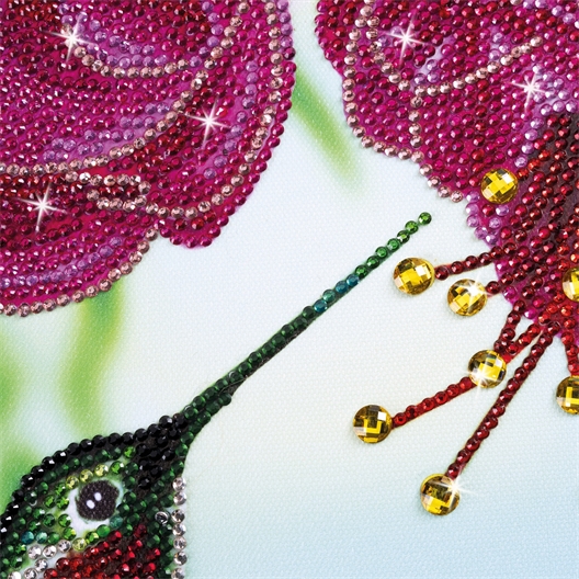 Kit tableau à diamanter Colibri