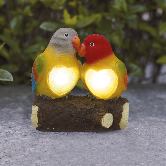 Couple d'inséparables LED