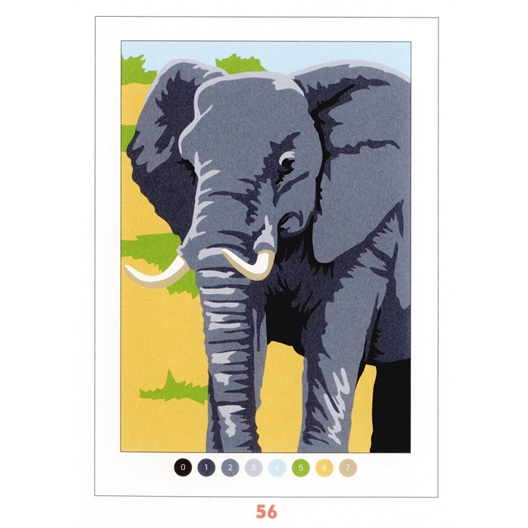 Coloriages mystère Trompe l'œil