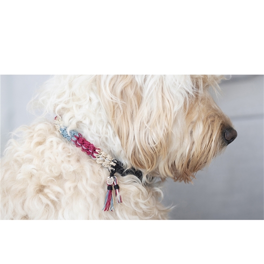 Kit crochet collier pour chat ou chien