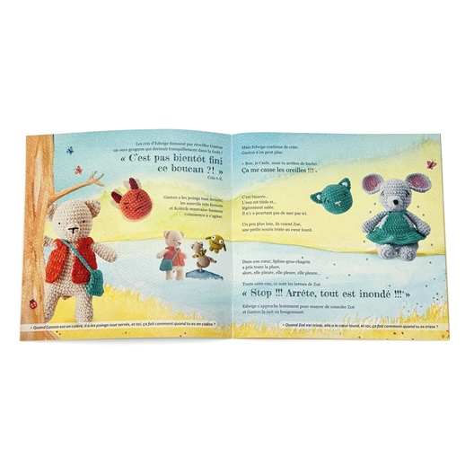 Offre livre de conte + pelotes Phil Chéri