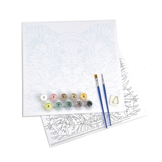 Set de 4 peintures par numéros Animatrix
