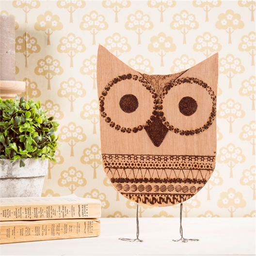 Pyrograveur avec 8 accessoires