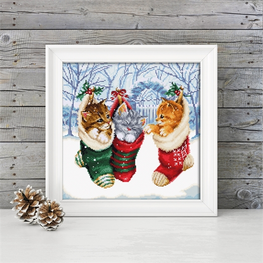Kit point compté Chatons sous la neige