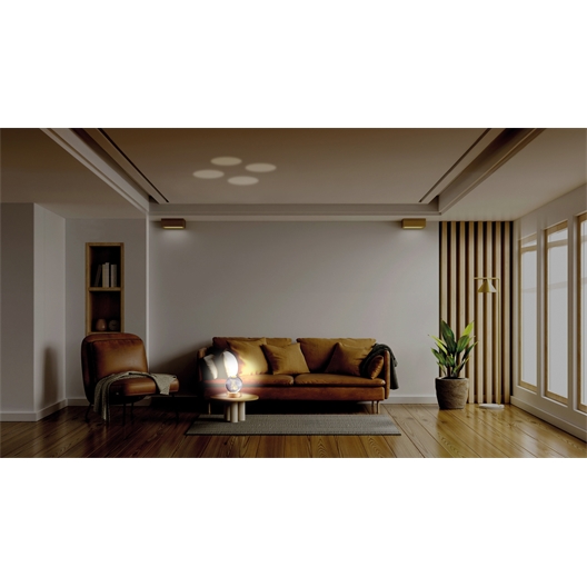 Lampe globe chat