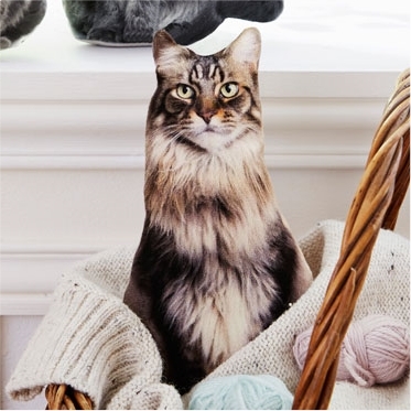 Coussin chat en velours à coudre Tigré