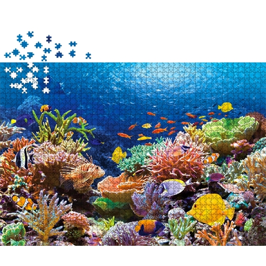 Puzzle 1000 pièces : Grande barrière de corail