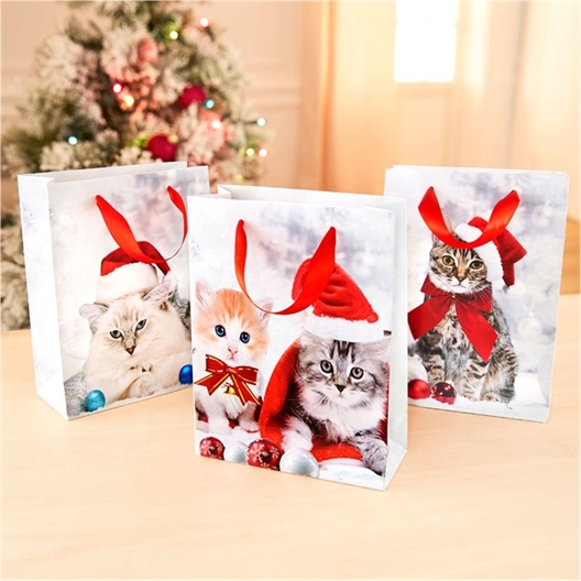 Lot de 3 sacs cadeaux chatons