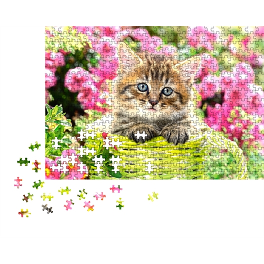 Puzzle 500 pièces : Chaton au printemps