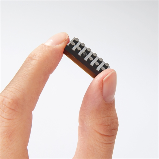 Puzzle 3D chien Teckel