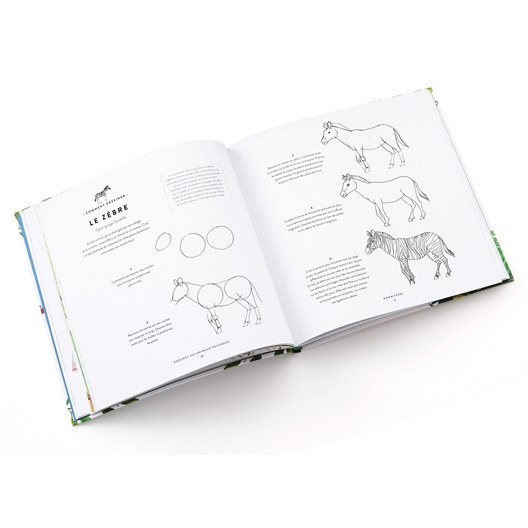Livre Dessinez les animaux sauvages