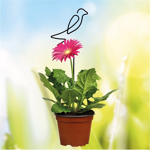 Oiseau support pour plantes