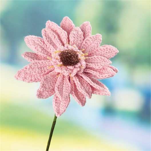 Kit fleurs au crochet : divers motifs