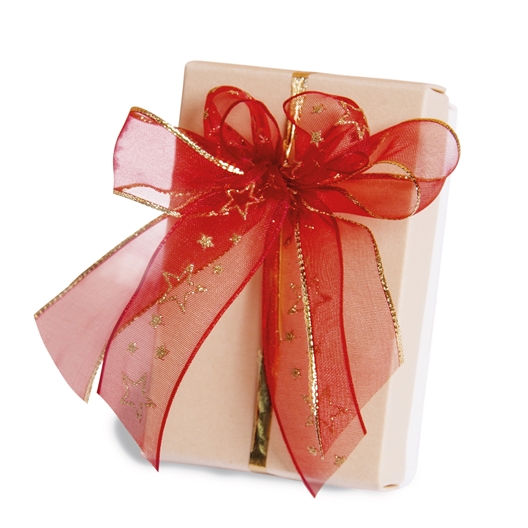 Kit pour créer des nœuds Offre Noël