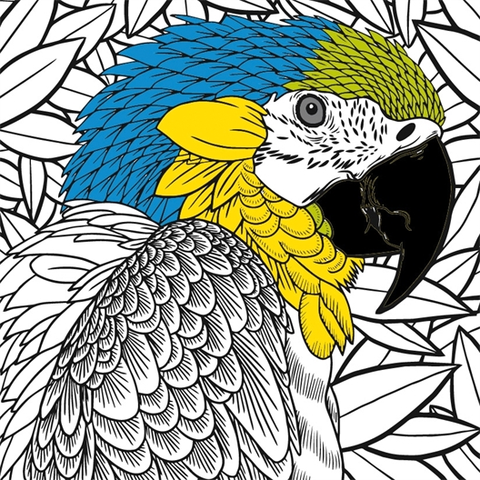 Petits carrés d'Art-thérapie Perroquets