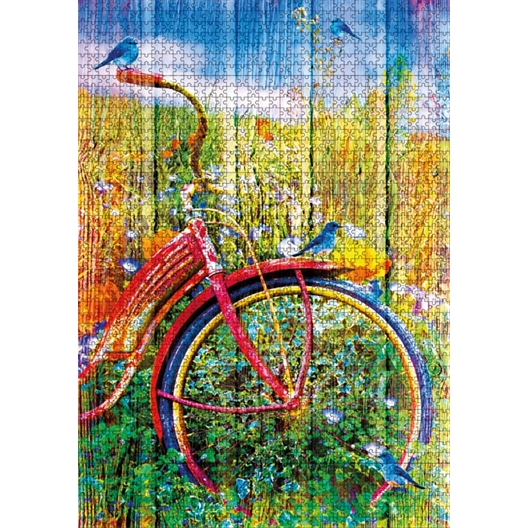 Puzzle 1000 pièces Oiseaux sur la bicyclette
