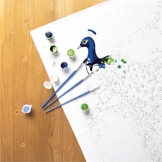 Peinture par numéros Paon majestueux