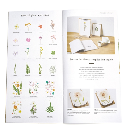 Livre d'instructions fleurs séchées