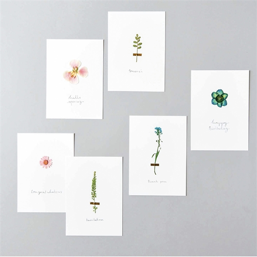 Set de fleurs pressées