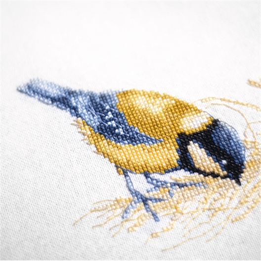 Kit au point compté