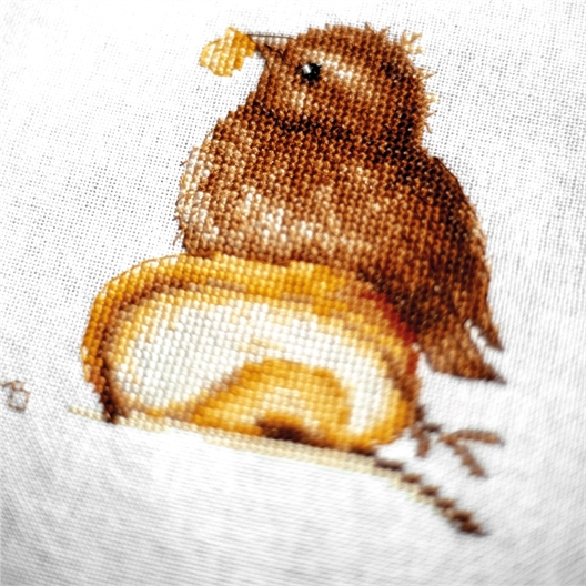 Kit au point compté