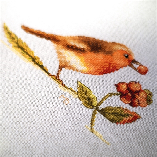 Kit au point compté