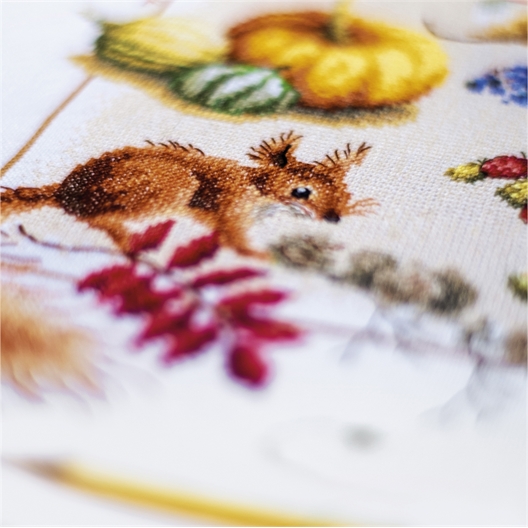 Kit point compté 4 saisons