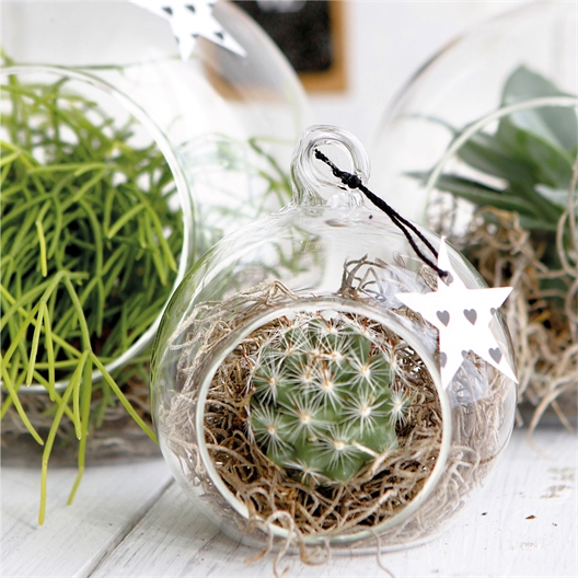 Boule ouverte verre à personnaliser