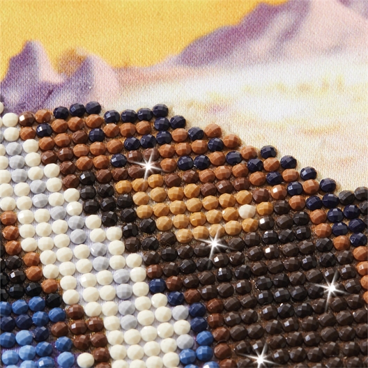 Kit perles à coller Diamond Dotz® Star le cheval