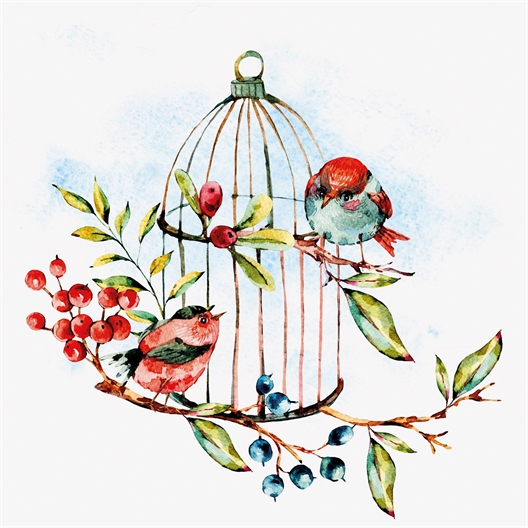 Oiseaux à l'aquarelle 20 dessins prêts à peindre