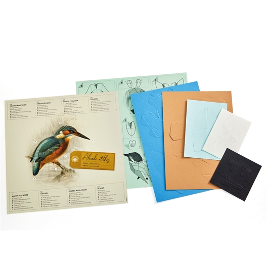 Kit 3D en papier oiseaux