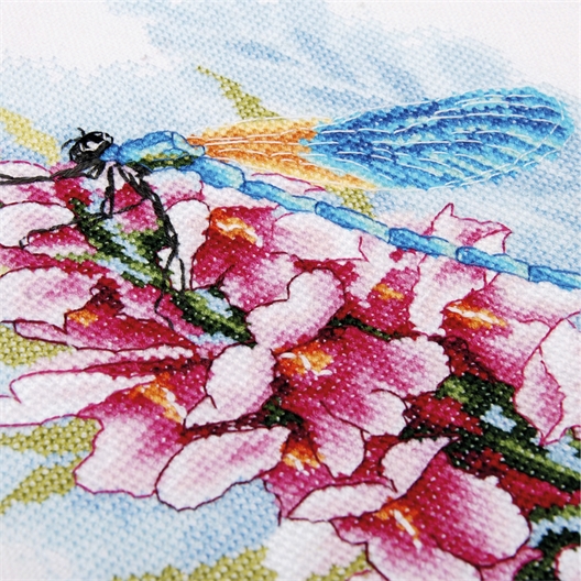 Kit point compté Le trésor de la libellule