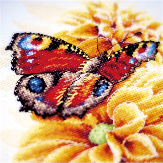 Kit point compté Papillon paon flottant