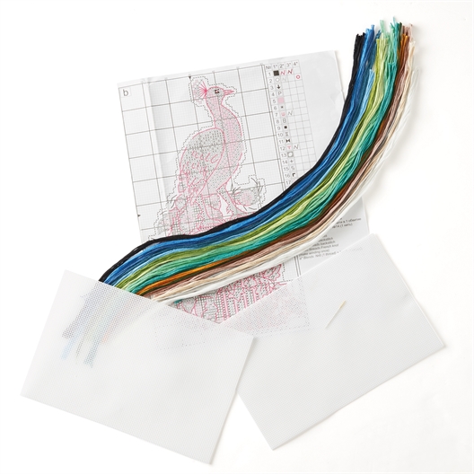 Kit broderie support rigide paon ou oiseau