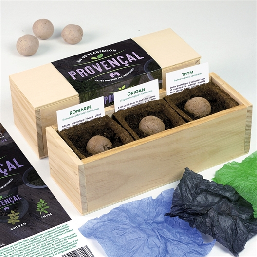 Kit mini potager Provençal (origan + romarin + thym)