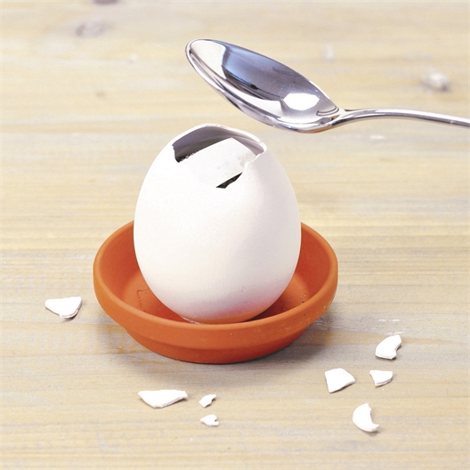 Kit œuf à semer basilic ou fraisier