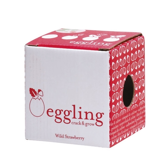 Kit œuf à semer basilic ou fraisier