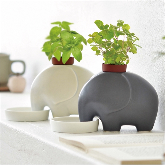 Pot éléphant à réserve d’eau : gris ou blanc