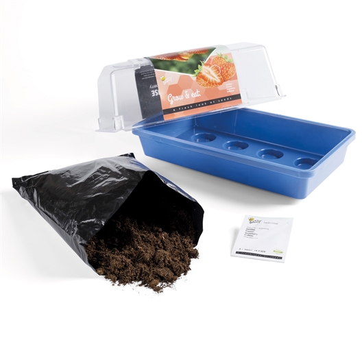 Mini serres fraisiers ou fleurs comestibles