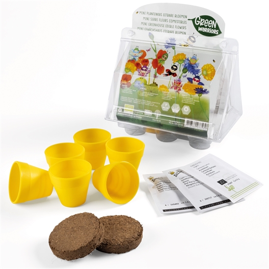 Mini serres fraisiers ou fleurs comestibles