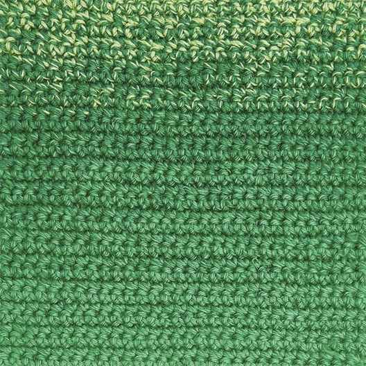 Fil Ricorumi Spin Spin DK : divers coloris