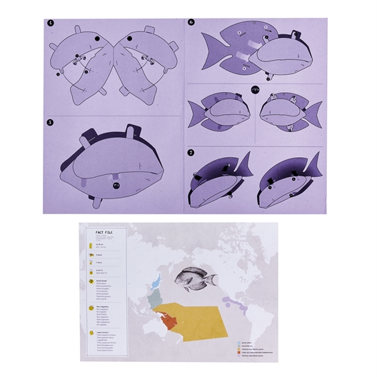 Kit 3D en papier : poissons ou crabe