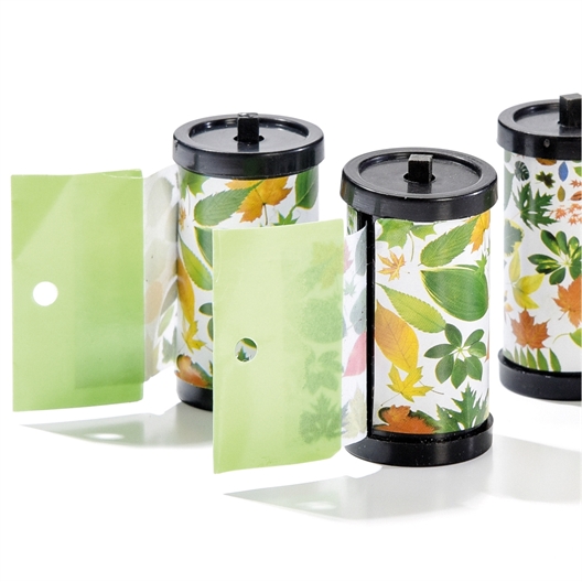 4 rouleaux attrape mouches feuilles