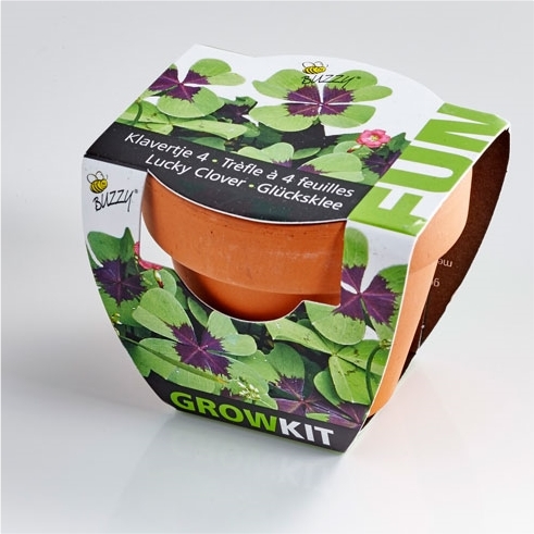 Pot Semis Trèfles à 4 feuilles