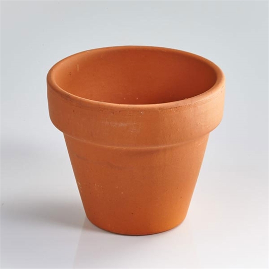 Pot Semis Trèfles à 4 feuilles