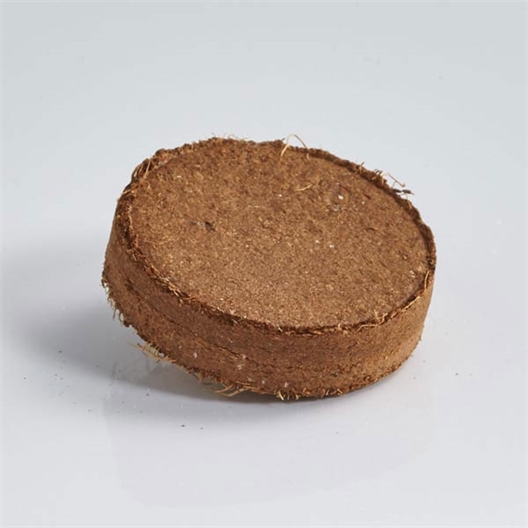 Pot Semis Trèfles à 4 feuilles