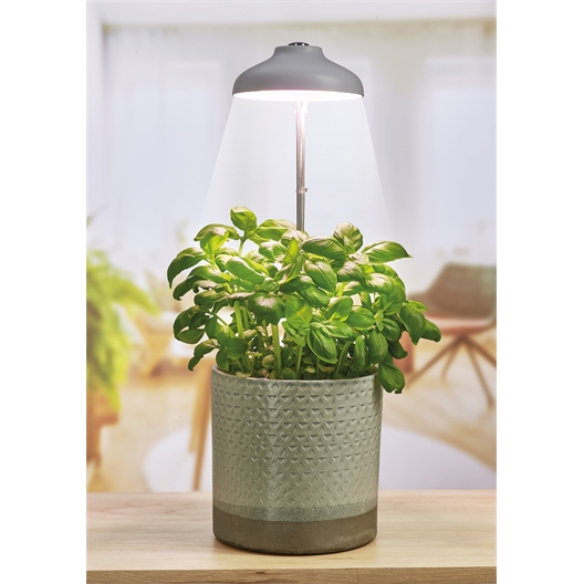Lampe LED pour plante